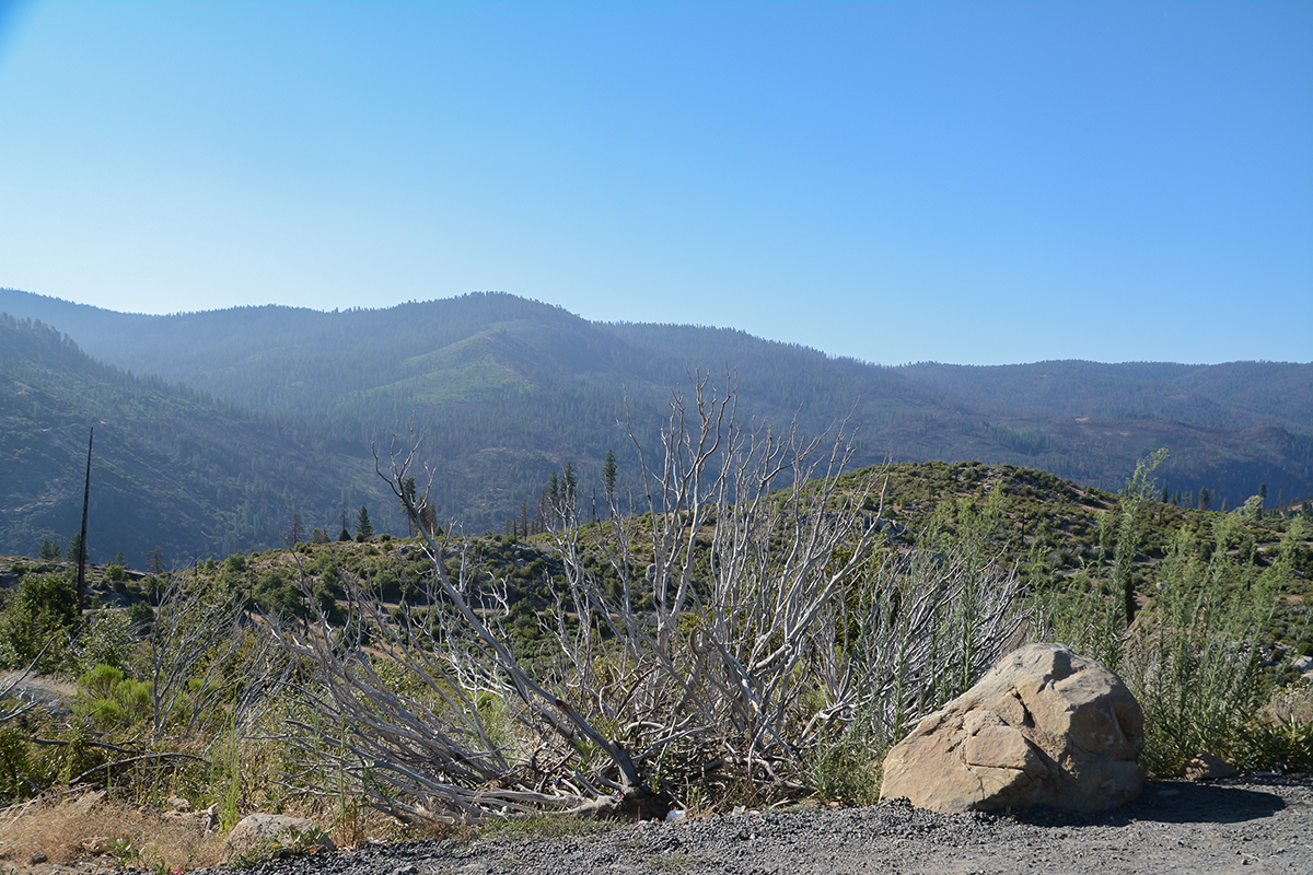 Yosemitepark 2