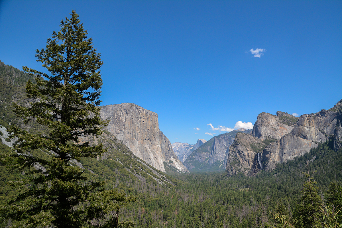 Yosemitepark Tunnel