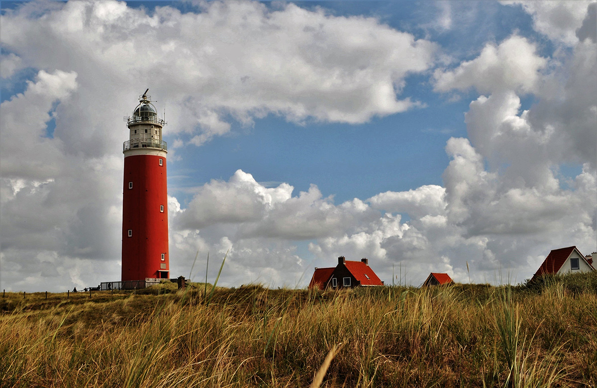 Texel